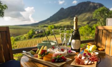 Cape Winelands vineyard estate tasting room